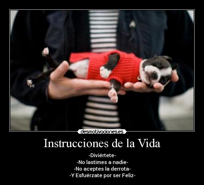 Instrucciones de la Vida - -Diviértete-
-No lastimes a nadie-
-No aceptes la derrota-
-Y Esfuérzate por ser Feliz-