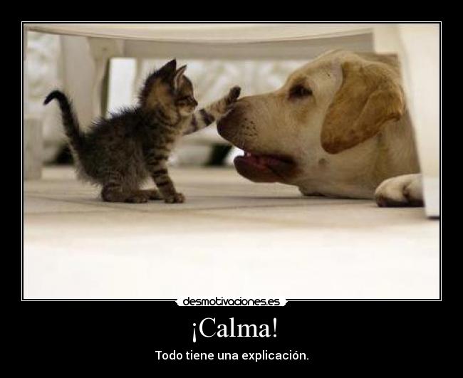 ¡Calma! - Todo tiene una explicación.