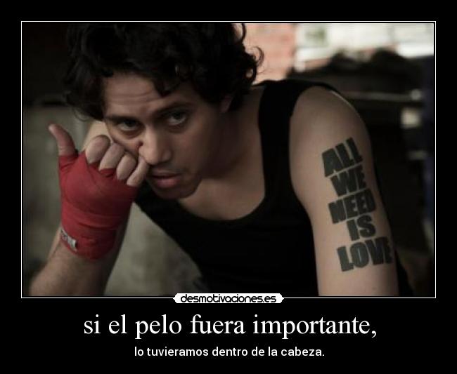 si el pelo fuera importante, - lo tuvieramos dentro de la cabeza.