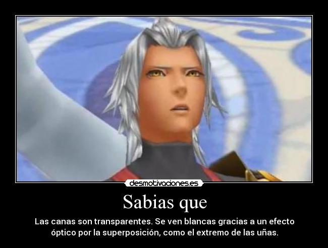 Sabias que - Las canas son transparentes. Se ven blancas gracias a un efecto
óptico por la superposición, como el extremo de las uñas.