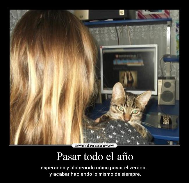 Pasar todo el año -