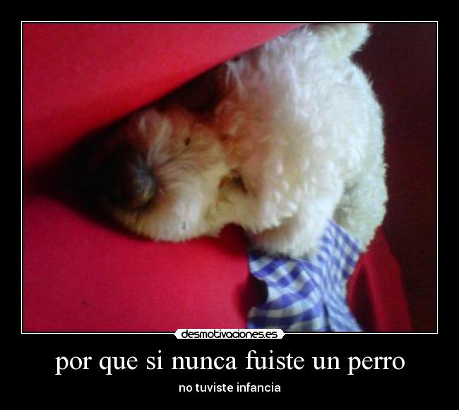 por que si nunca fuiste un perro - no tuviste infancia