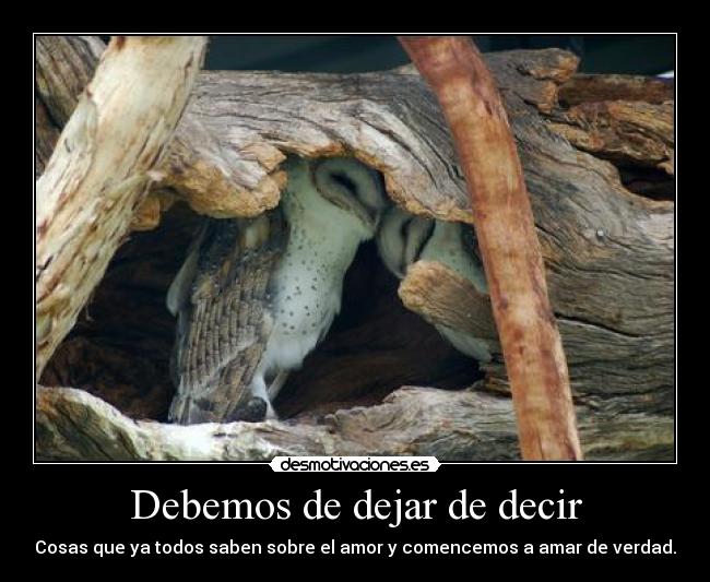 Debemos de dejar de decir - Cosas que ya todos saben sobre el amor y comencemos a amar de verdad.