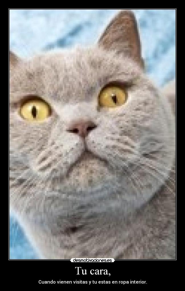 Tu cara, - Cuando vienen visitas y tu estas en ropa interior.