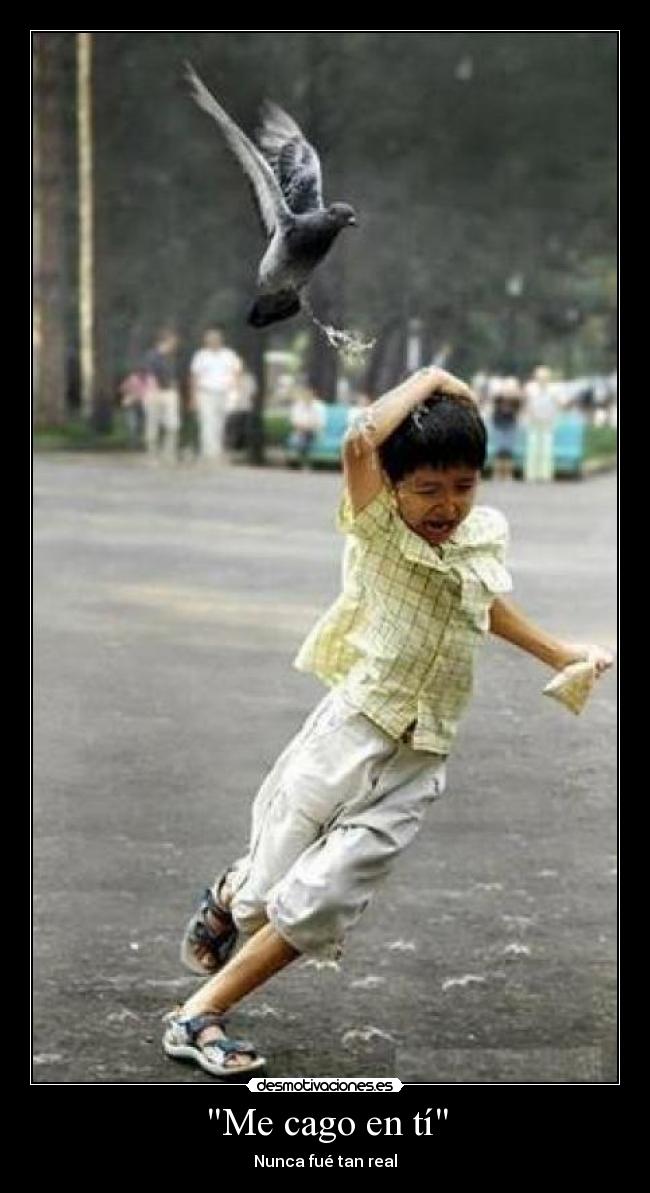 Me cago en tí - Nunca fué tan real