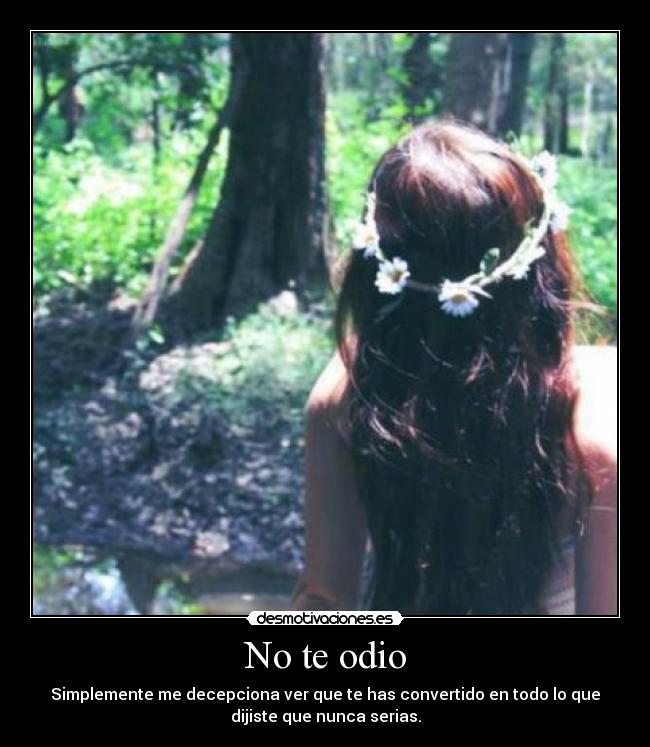 No te odio - Simplemente me decepciona ver que te has convertido en todo lo que
dijiste que nunca serias.