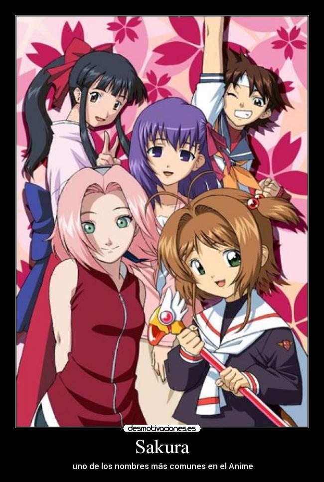 Sakura -