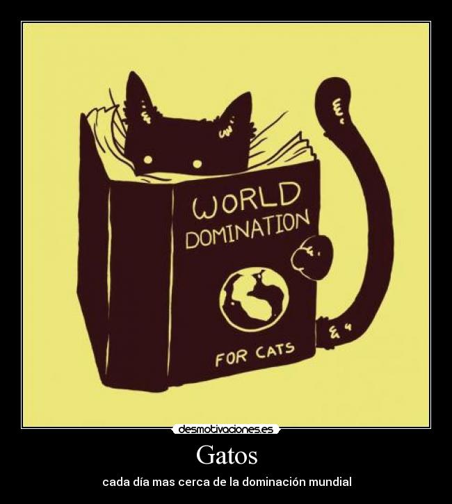 Gatos - cada día mas cerca de la dominación mundial