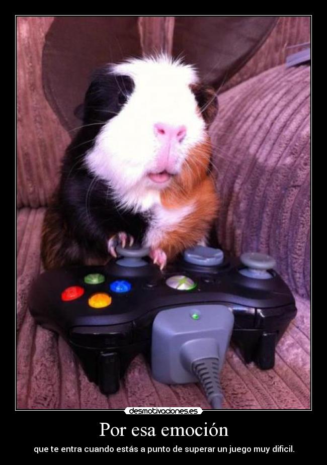 Por esa emoción - que te entra cuando estás a punto de superar un juego muy dificil.