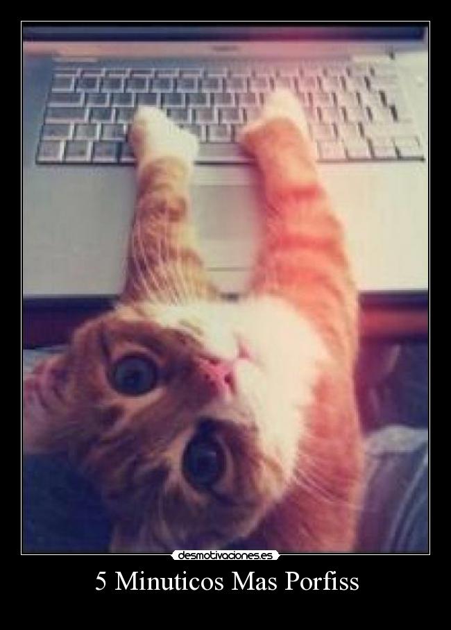 5 Minuticos Mas Porfiss - 