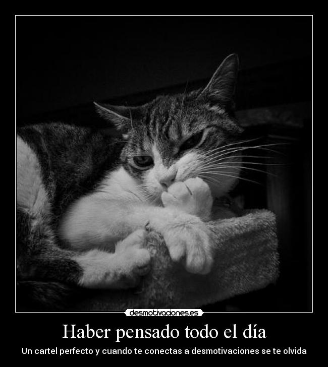 Haber pensado todo el día - Un cartel perfecto y cuando te conectas a desmotivaciones se te olvida
