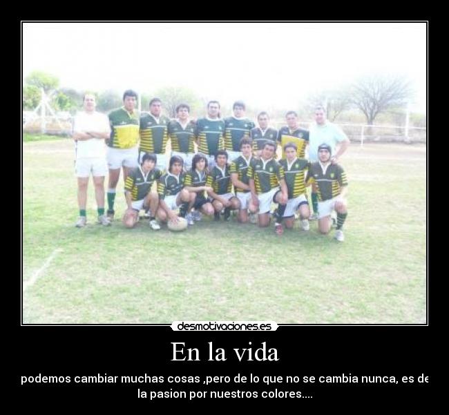 carteles vida rugby desmotivaciones