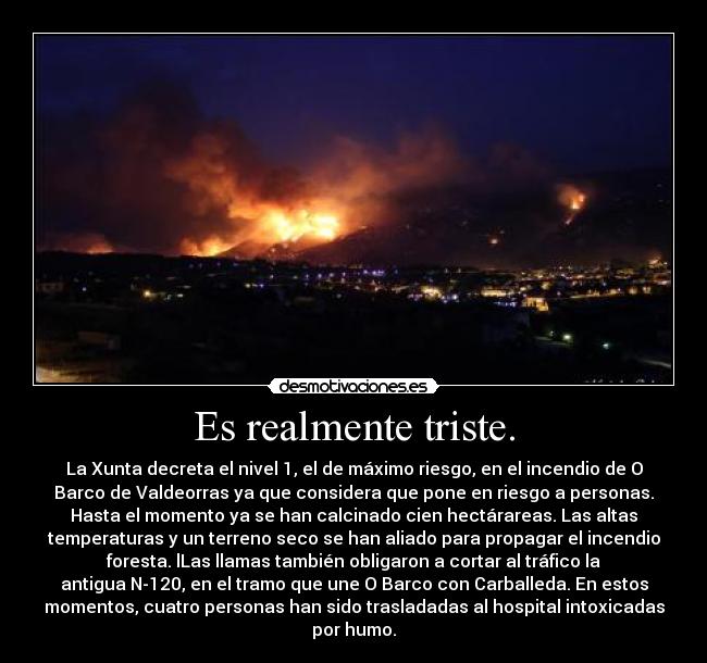 Es realmente triste. -