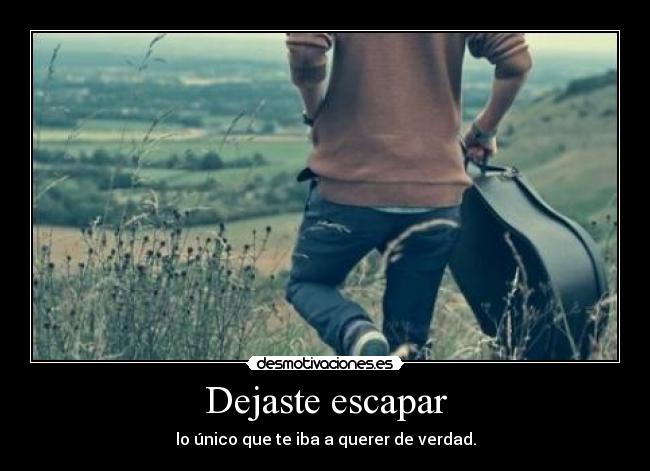 Dejaste escapar -