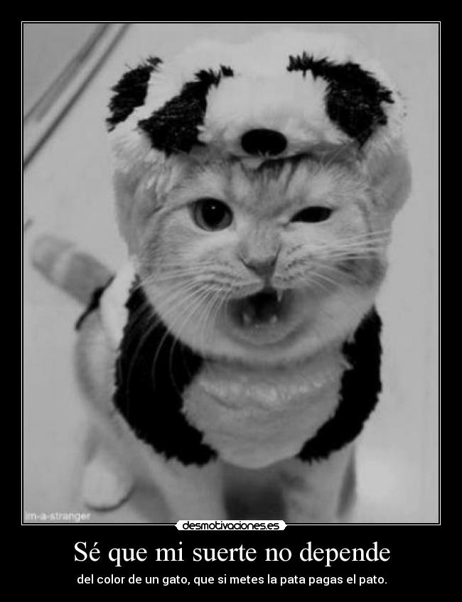 Sé que mi suerte no depende - 