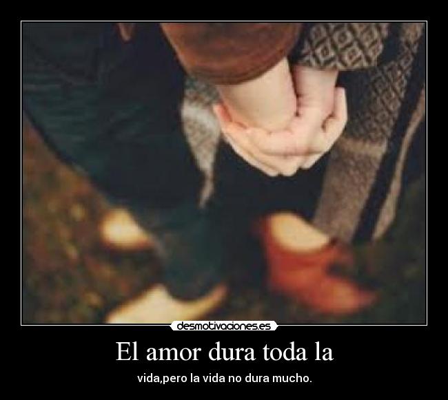El amor dura toda la - 