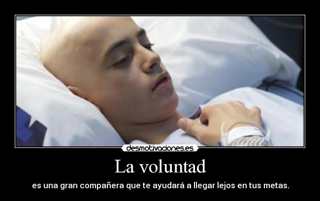 La voluntad - es una gran compañera que te ayudará a llegar lejos en tus metas.