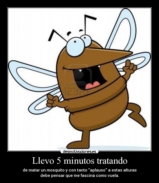 Llevo 5 minutos tratando - de matar un mosquito y con tanto aplauso a estas alturas
debe pensar que me fascina como vuela.