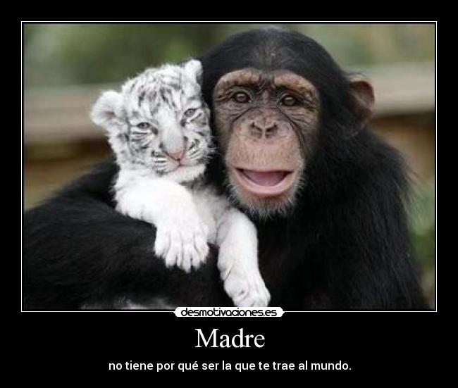 carteles madre madres rayodeluna clanunicornio final mes solo ocurren estas cosas desmotivaciones