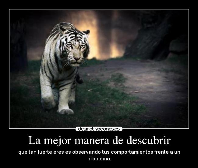 La mejor manera de descubrir - 