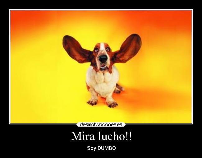 Mira lucho!! -