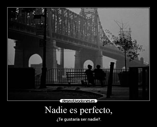 Nadie es perfecto, - 