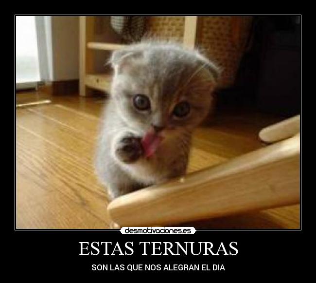 ESTAS TERNURAS -