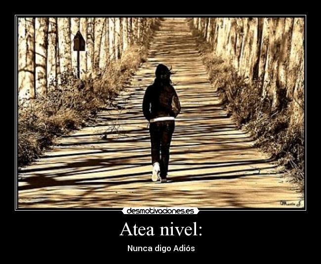 Atea nivel: - Nunca digo Adiós