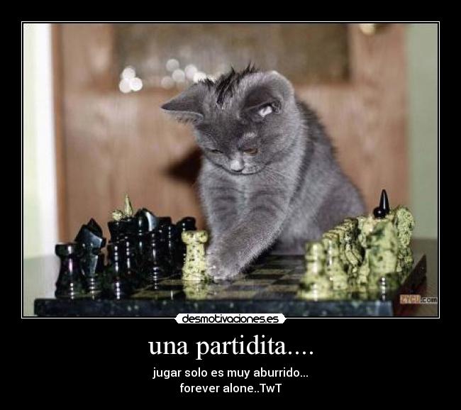 carteles jajaja forever alone twt desmotivaciones