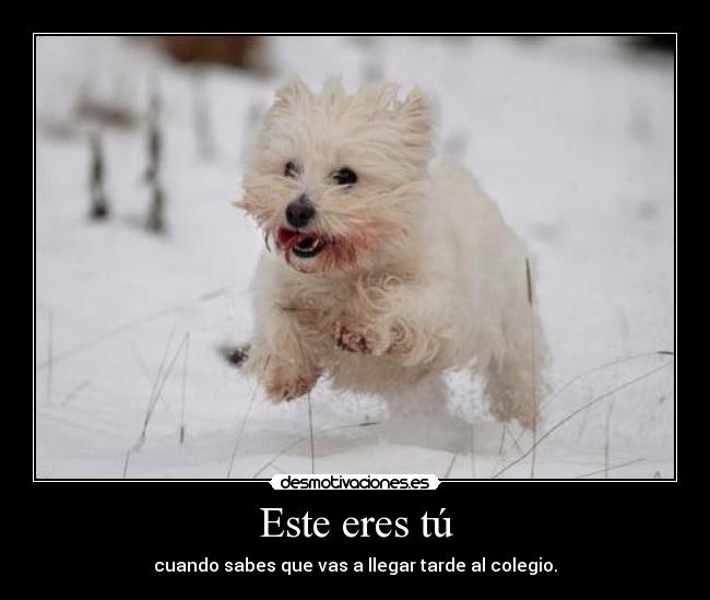 Este eres tú - cuando sabes que vas a llegar tarde al colegio.