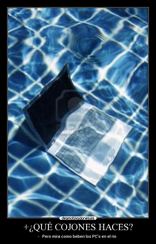 +¿QUÉ COJONES HACES? - -♪♫ Pero mira como beben los PCs en el río ♪♫