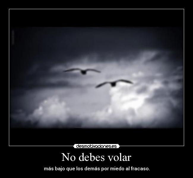 No debes volar - 