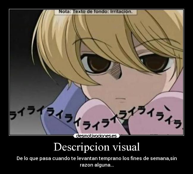 Descripcion visual - De lo que pasa cuando te levantan temprano los fines de semana,sin razon alguna...