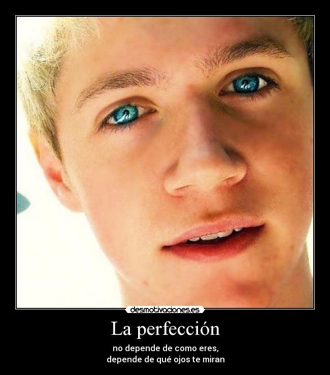 La perfección -
