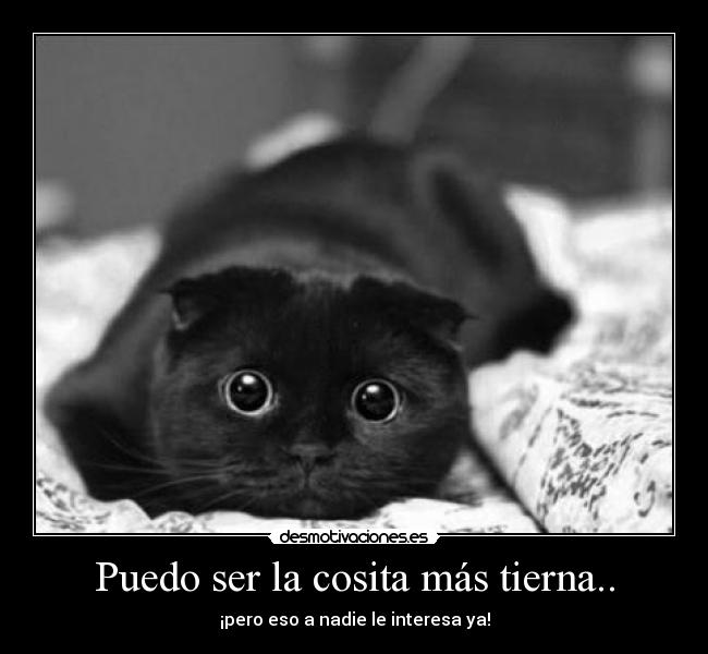 Puedo ser la cosita más tierna.. - 