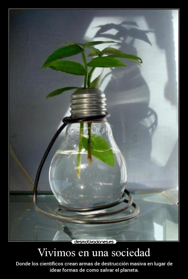 Vivimos en una sociedad - 