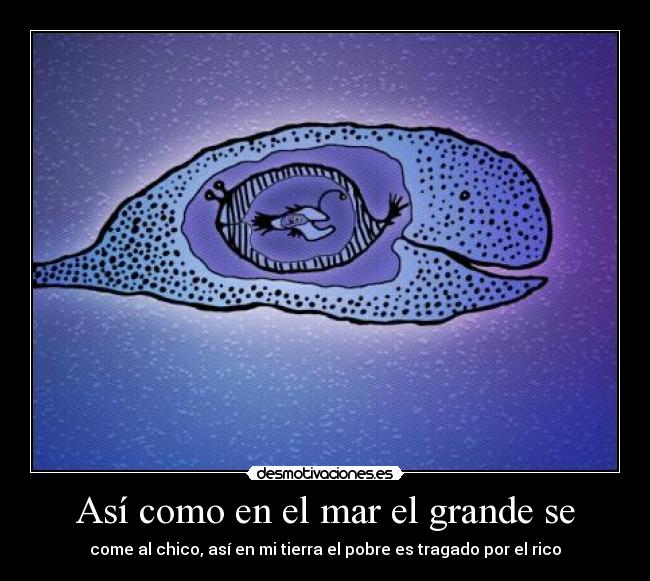 Así como en el mar el grande se - 
