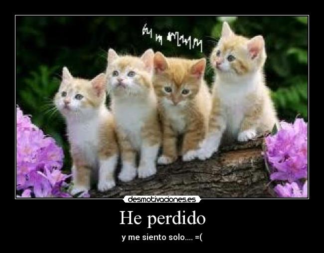 He perdido - 
