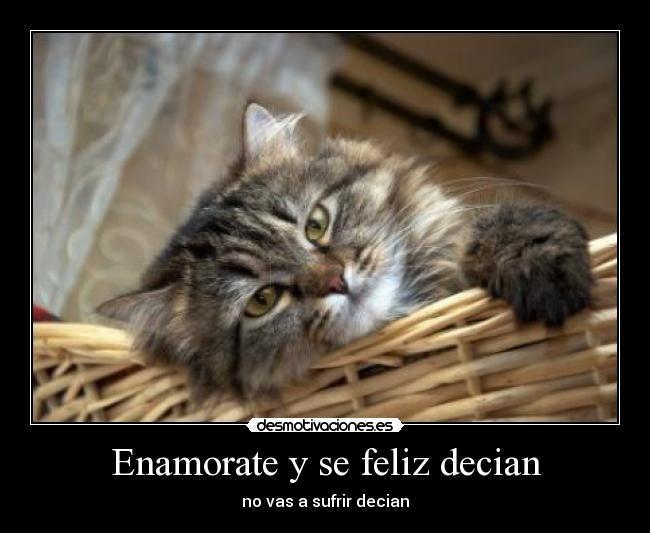 Enamorate y se feliz decian - no vas a sufrir decian