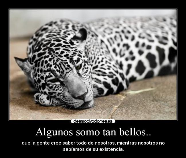 Algunos somo tan bellos.. -