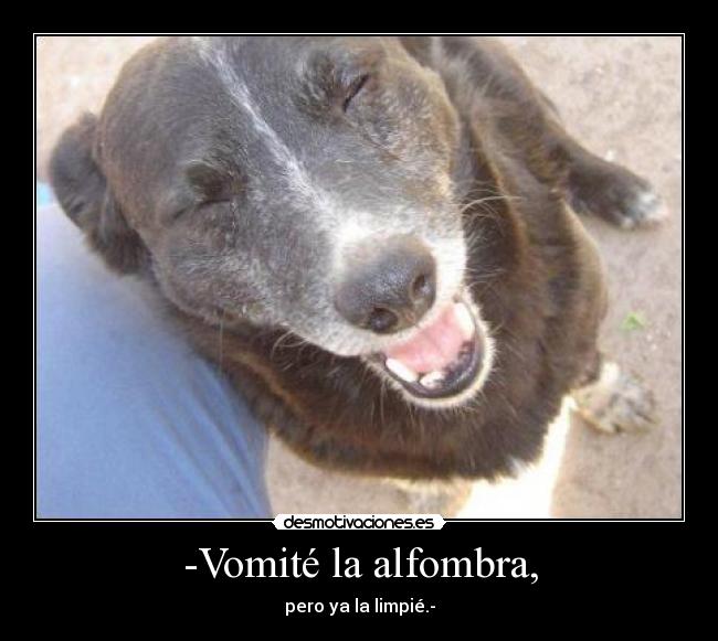 -Vomité la alfombra, - pero ya la limpié.-