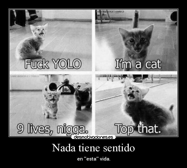 Nada tiene sentido -