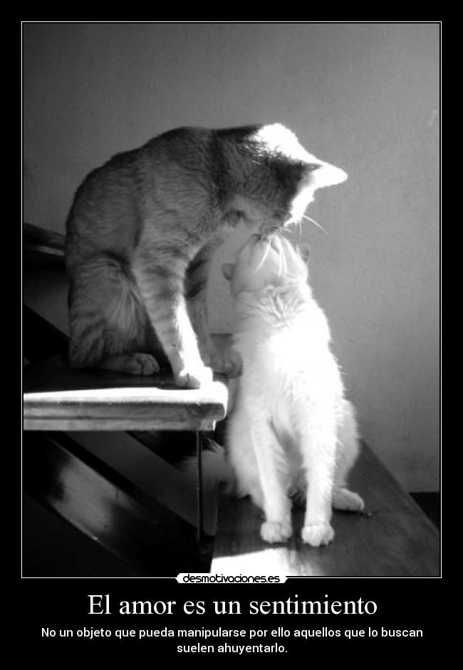 El amor es un sentimiento - No un objeto que pueda manipularse por ello aquellos que lo buscan
suelen ahuyentarlo.