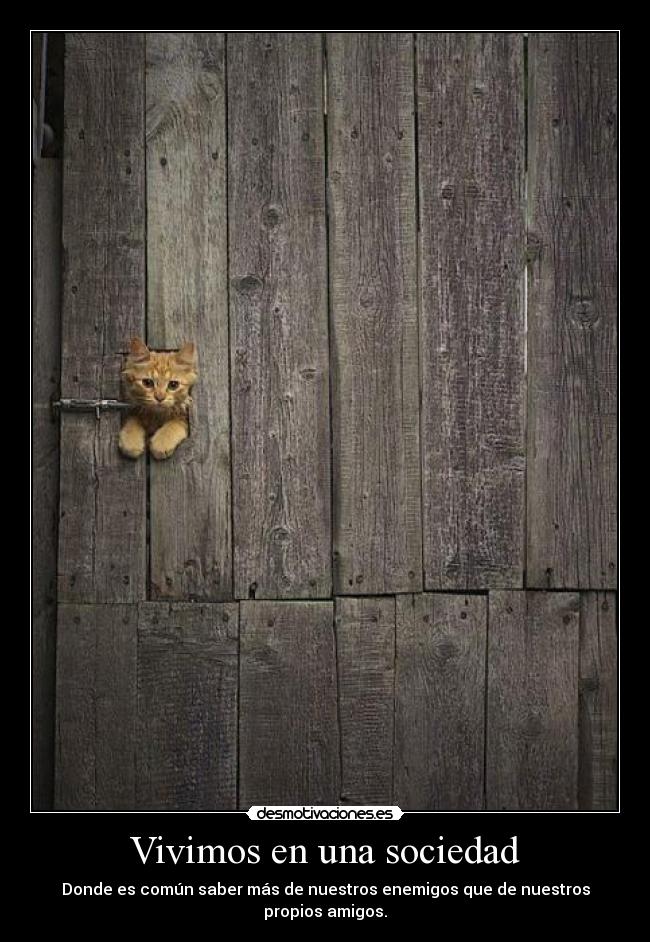 Vivimos en una sociedad -