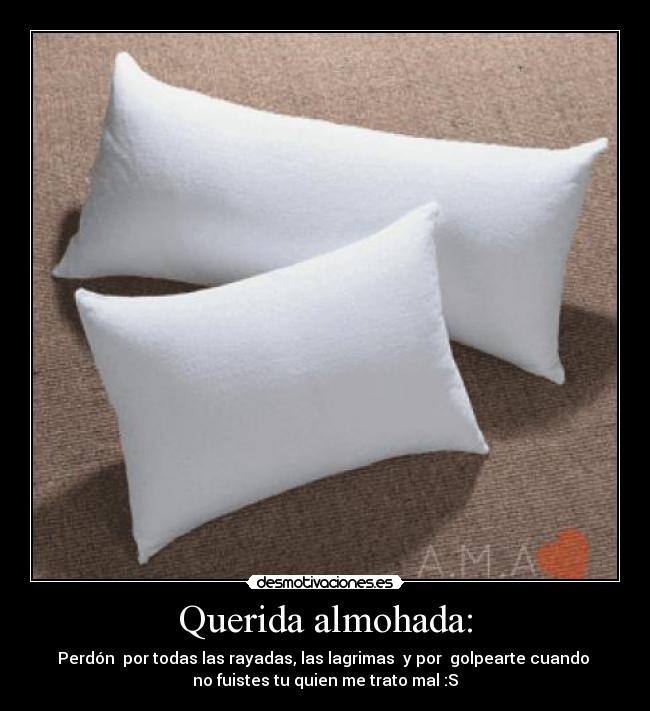 Querida almohada: - Perdón por todas las rayadas, las lagrimas y por golpearte cuando
no fuistes tu quien me trato mal :S