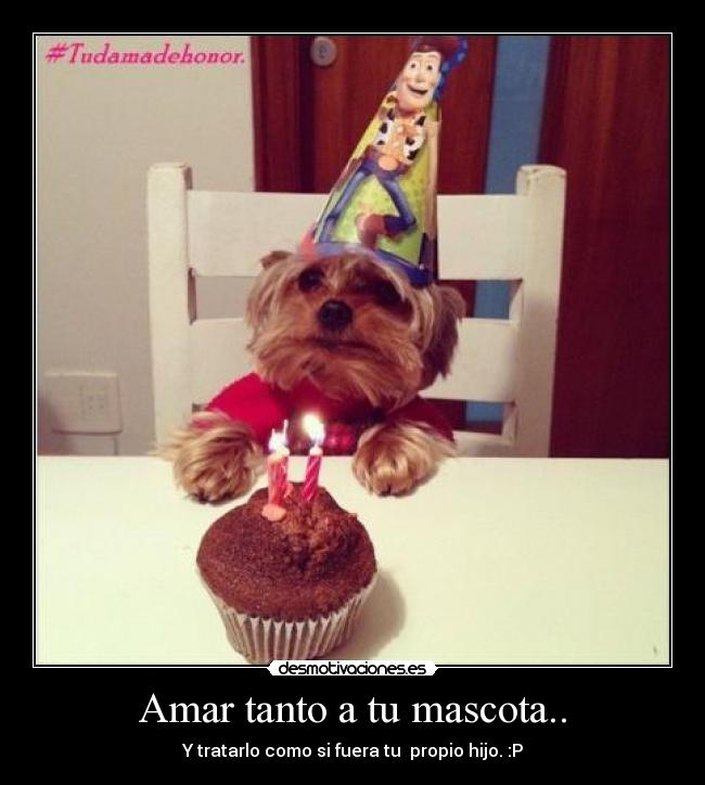 Amar tanto a tu mascota.. -