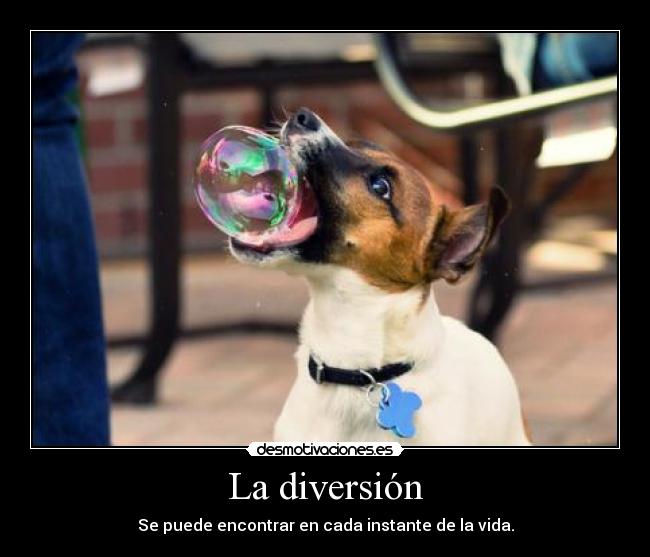 La diversión -