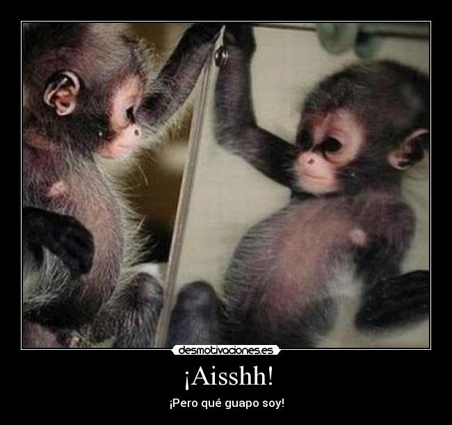 ¡Aisshh! - 