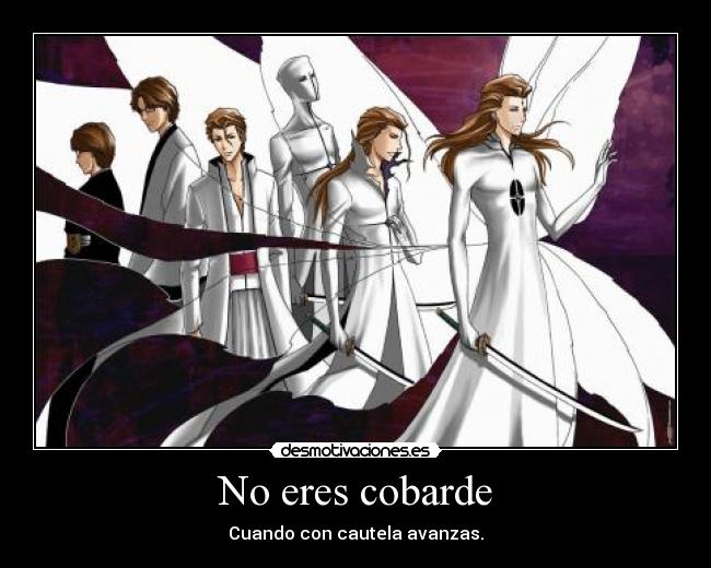 No eres cobarde - Cuando con cautela avanzas.