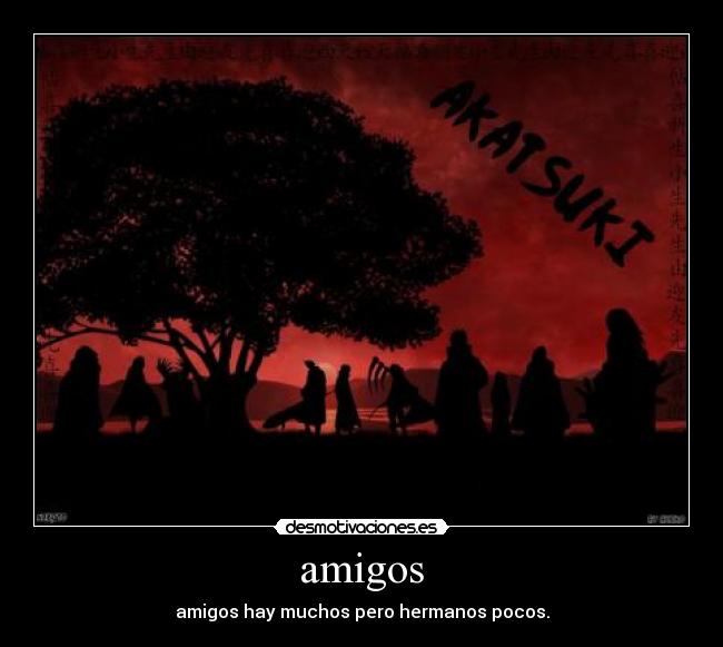 amigos - 